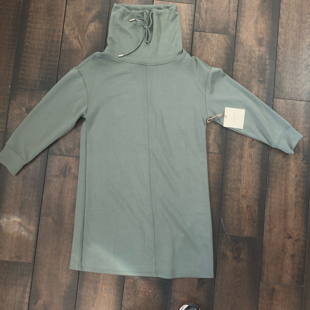 Cynthia Rowley Sage Green Sweatshirt Dress